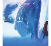 Fleshwater 2000: In Search of the Endless Sky (CD) Album (Jewel Case)
