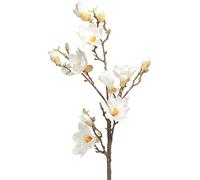 Fleur artificielle branche de magnolia crème Deko 105cm Ø2-10cm