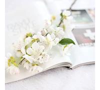 Fleur Artificielle Cerisier Printemps Fleur de Prunier Branche de pêche 30cm-60cm Fleur de Soie Arbre Fleur Bourgeon pour la décoration de fête de Mariage-9