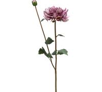 Fleur artificielle Dahlia Violet Fleur en soie Déco Tige 57cm