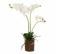 Fleur Artificielle Déco "Orchidée en Terre" 54cm Blanc