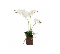 Fleur Artificielle Déco "Orchidée en Terre" 54cm Blanc