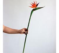 Fleur Artificielle D'oiseau de Paradis, Fleur Artificielle, Oiseau de Paradis Unique, Grande Colle Douce, Strelitzia Simulé pour Décoration Intérieure, Photographie de Mariage(#1)