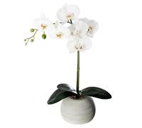 Fleur Artificielle en Pot ""Orchidée"" 53cm Gris
