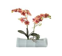 Fleur Artificielle Fleur Artificielle Salon Bureau Décoration en Pot Fleur rétro Fleur de Soie Bonsaï, Peut être utilisée comme Cadeau pour Les Parents, Amis collègues Fausses Plantes