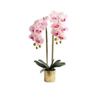 Fleur artificielle moderne simple falsification de fleur phalaenopsis vase set salon décoration de maison plantes artificielles fausses plantes pour table de bureau de bureau de bureau (couleur: a)