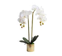 Fleur artificielle moderne simple falsification de fleur phalaenopsis vase set salon décoration de maison plantes artificielles fausses plantes pour table de bureau de bureau de bureau (couleur: a)