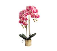 Fleur artificielle moderne simple falsification de fleur phalaenopsis vase set salon décoration de maison plantes artificielles fausses plantes pour table de bureau de bureau de bureau (couleur: a)