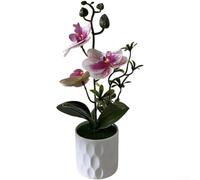 Fleur artificielle Morphologie Phalaenopsis pour adoucir l'espace dans les intérieurs angulaires ou à surface dure (F)