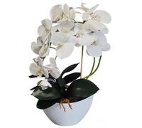 Fleur artificielle, orchidée, 3P, caoutchouc comme vivant, Damich