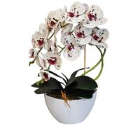 Damich Orchidée Artificielle en Pot de Fleur Plante Artificielle Orchidée Artificielle Décoration 2 Branches de Fleurs Hauteur env. 50 cm (Multicolore), B0D17RWMHL