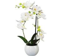 Fleur artificielle orchidée phalaenopsis impression 3D dans pot céramique 42 cm blanc Real Touch