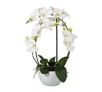 Fleur artificielle orchidée phalaenopsis impression 3D dans pot céramique 52 cm blanc Real Touch