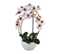 Fleur artificielle orchidée phalaenopsis impression 3D dans pot céramique 52 cm rose Real touch