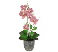 Fleur Artificielle Papillon orchidée avec Feuilles et Racines aériennes dans Un Pot en céramique Fleur Artificielle orchidée phalaenopsis avec Pot Plante Artificielle décoration Mariage Fleur en Soie