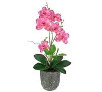 Fleur artificielle papillon orchidée avec feuilles et racines aériennes dans un pot en céramique fleur artificielle orchidée phalaenopsis avec pot plante artificielle décoration mariage fleur en soie