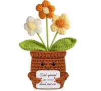 Fleur au Crochet Fait-Main avec Carte d'Encouragement - Cadeau Inspirant pour Anniversaire et Fête des Mères - Décoration Maison Unique pour Femme et Fille