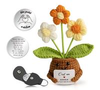 Fleur au Crochet Fait Main avec Carte d'Encouragement + Porte-Clés Poème - Kit Cadeau Émotionnel Réconfortant pour Anniversaire/Fête des Mères (Fleur de pâtisserie- Jaune)