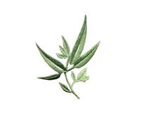 Fleur Brodée patches Patchs thermocollants en tissu à motifs de plantes vertes et fleurs, feuilles bambou, broderie florale repasser for vêtements robes pour vêtements, Jeans, vestes, sacs(Color 3)