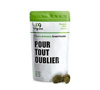 fleur cbd 2g tengrams greenhouse amnesia