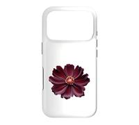 Fleur Cosmos Chocolat Coque pour iPhone 17 Pro