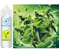 Fleur d’ortie arôme concentré - Vegan - Sasami - 10 ml
