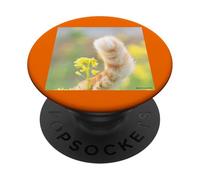 Fleur de colza et queue de chat_001 PopSockets PopGrip Adhésif