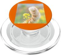 Fleur de colza et queue de chat_001 PopSockets PopGrip pour MagSafe