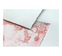 Fleur de Coton paquet bords frangés 10F 24x30cm 250g