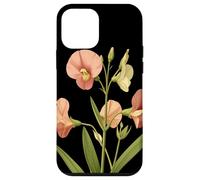 Fleur de Pois de Senteur Nom Scientifique Vintage Illustration Flore Coque pour iPhone 12 Mini