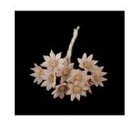 FLEUR DE PORCELAINE FROIDE 1,2 CM - ROSA PALO