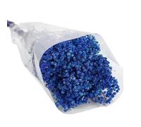 Fleur de Souffle de bébé séchée Naturelle, 19, 7, Royal Blue | Fleur de gypsophile séchée naturelle, pour les arrangements de vases, Bouquets de mariage, centres de Table