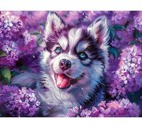 Fleur Diamond Painting Adulte,5D Diamond Painting Kit Complet, Ronde Diamond Peinture Chien Images Cristal Débutant Art Set Cadeau Femme, pour Commode Chambre Décoration Halloween 20x28in y0l-681