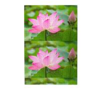 Fleur et Bouton de Lotus, Puzzles de 1000 pièces en Bois, Jeu Familial, décoration Murale pour Adultes et Adolescents