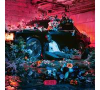Fleur froide CD