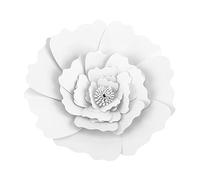 Fleur Papier de Soie 30 CM Artisanat Fleurs Deco Murale Salon Chambre Blanc Mariage Decoration Bapteme Anniversaire Pâque pour Fournitures de Douche de Mariage(blanc)