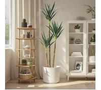 FLEUR-PLANTE ARTIFICIELLE - Arbre Artificiel - Sisal artificiel - pour Home Salon balcon Bureau Déco - H 160cm vert