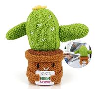 Fleur positive Cactus Héros Bonheur plein de beauté que nous vivons en même temps que vous êtes de retour Cadeaux pour les femmes atteintes de cancer Superbe cadeau en peluche pour personnes