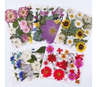 Fleur pressée séchée, 100 pièces Fleurs pressées imitées Feuilles séchées pour Scrapbooking Bricolage Artisanat Bijoux Moule Bougie Fabrication de Savon (tapez 2)