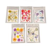 Fleur pressée séchée, 100 pièces Fleurs pressées imitées Feuilles séchées pour Scrapbooking Bricolage Artisanat Bijoux Moule Bougie Fabrication de Savon (tapez 1)