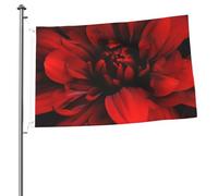 Fleur rouge sur drapeau noir 61 x 91 cm - Impression double face - Drapeau de jardin pour l'extérieur - Bannière cadeau avec œillets - Toile de fond pour photo pour intérieur et extérieur