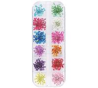 Fleur séchée Nail Art Décoration Set 24pcs Vraie Gypsophile Fleur Séchée pour Nail Art Conservé Fleur Manucure Ongles Ornement pour Femmes Fille Style 02 Nice and Fashion, Multicolore