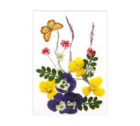 Fleur séchée Naturelle pour Marque-Pages, Fabrication de Bougies, Bijoux, Feuilles de Fleurs séchées pressées Naturelles pour Fleurs Artisanales Faites à la Main, Ensemble condensé