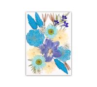 Fleur séchée Naturelle pour Marque-Pages, Fabrication de Bougies, Bijoux, Feuilles de Fleurs séchées pressées Naturelles pour l ' Artisanat d ' Art Fait à la Main, Collection d ' échantillons de
