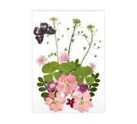 Fleur séchée Naturelle pour Marque-Pages, Fabrication de Bougies, Bijoux, Feuilles de Fleurs séchées pressées Naturelles pour Fleurs Artisanales Faites à la Main, Ensemble condensé