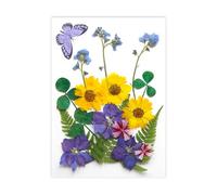 Fleur séchée Naturelle pour Marque-Pages, Fabrication de Bougies, Bijoux, Feuilles de Fleurs séchées pressées Naturelles pour Fleurs Artisanales Faites à la Main, Ensemble condensé