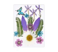 Fleur séchée Naturelle pour Marque-Pages, Fabrication de Bougies, Bijoux, Feuilles de Fleurs séchées pressées Naturelles pour Fleurs Artisanales Faites à la Main, Ensemble condensé