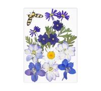 Fleur séchée Naturelle pour Marque-Pages, Fabrication de Bougies, Bijoux, Feuilles de Fleurs séchées pressées Naturelles pour Fleurs Artisanales Faites à la Main, Ensemble condensé