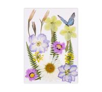 Fleur séchée Naturelle pour Marque-Pages, Fabrication de Bougies, Bijoux, Feuilles de Fleurs séchées pressées Naturelles pour Fleurs Artisanales Faites à la Main, Ensemble condensé