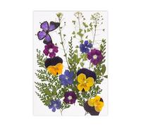 Fleur séchée Naturelle pour Marque-Pages, Fabrication de Bougies, Bijoux, Feuilles de Fleurs séchées pressées Naturelles pour Fleurs Artisanales Faites à la Main, Ensemble condensé